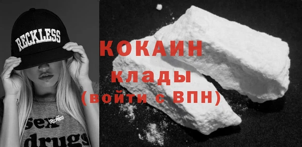 шишки Лагань