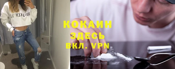 мдпв Ладушкин