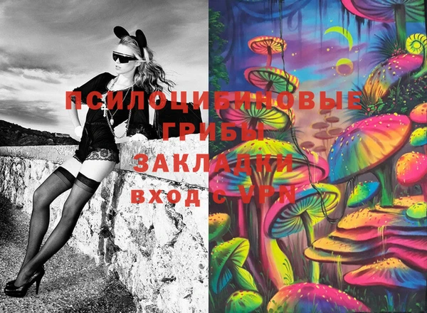 СК Липки