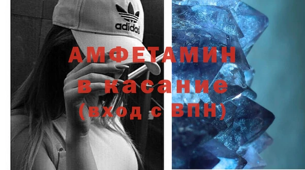 шишки Лагань