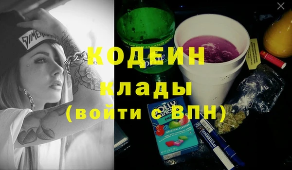 мдпв Ладушкин