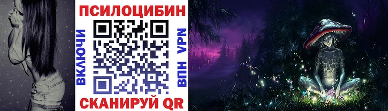 купить наркоту  МЕГА как войти  Псилоцибиновые грибы мицелий  Темников 